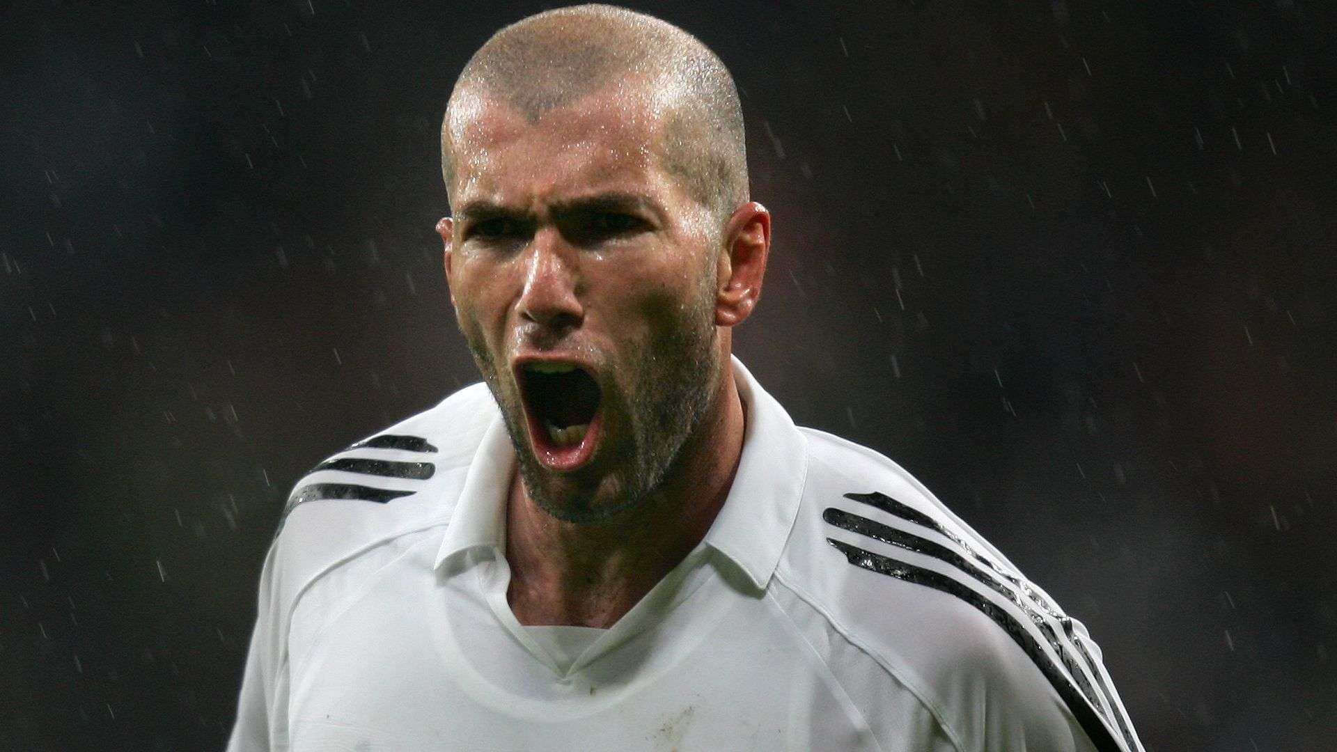 活地选择传 活地选择传