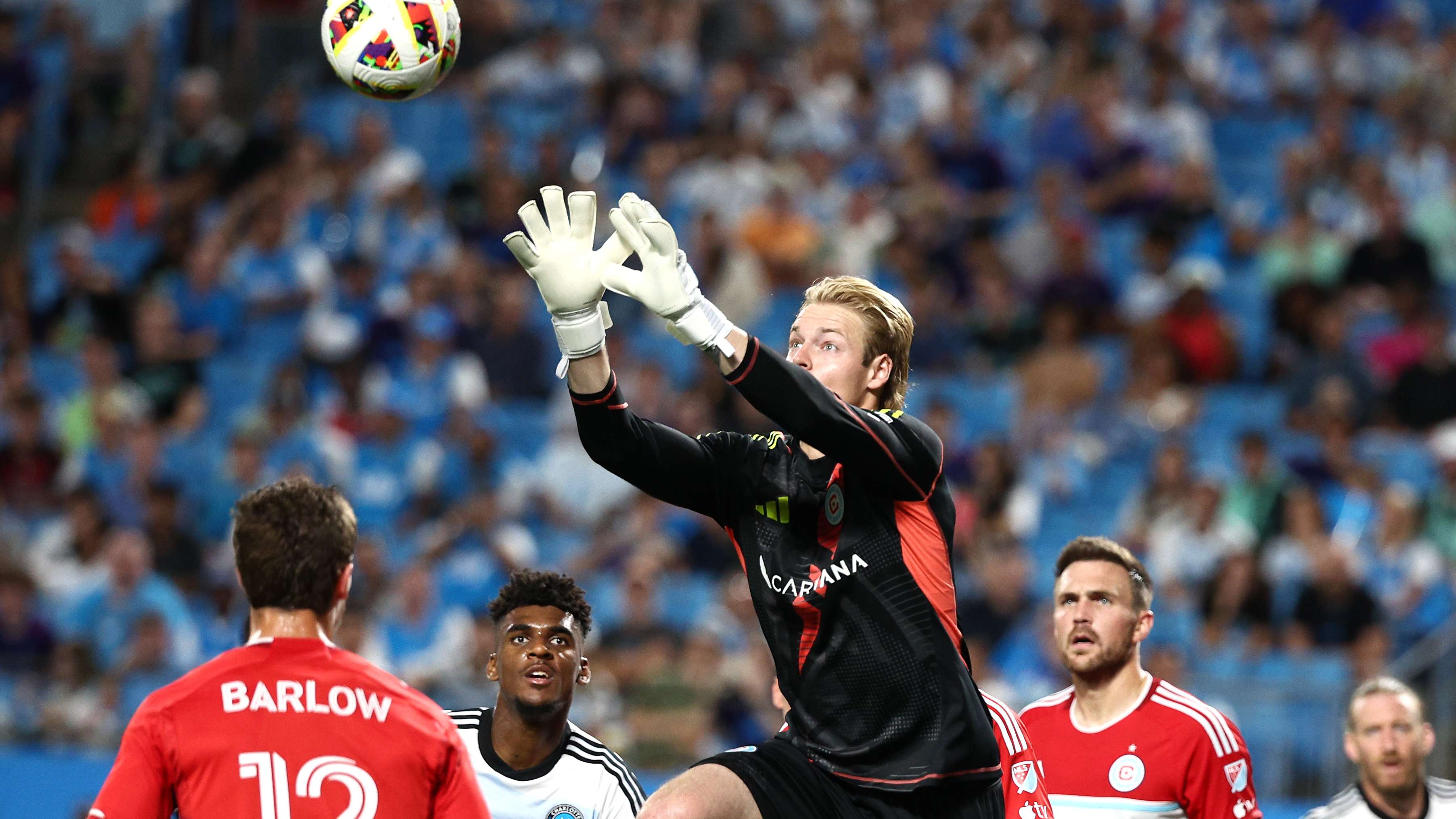 这样的文化 这样的文化